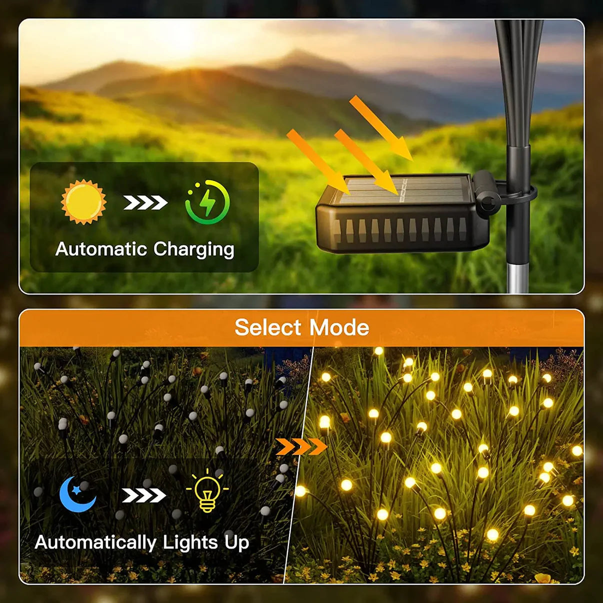 Firefly | Solar Powered Garden Lights